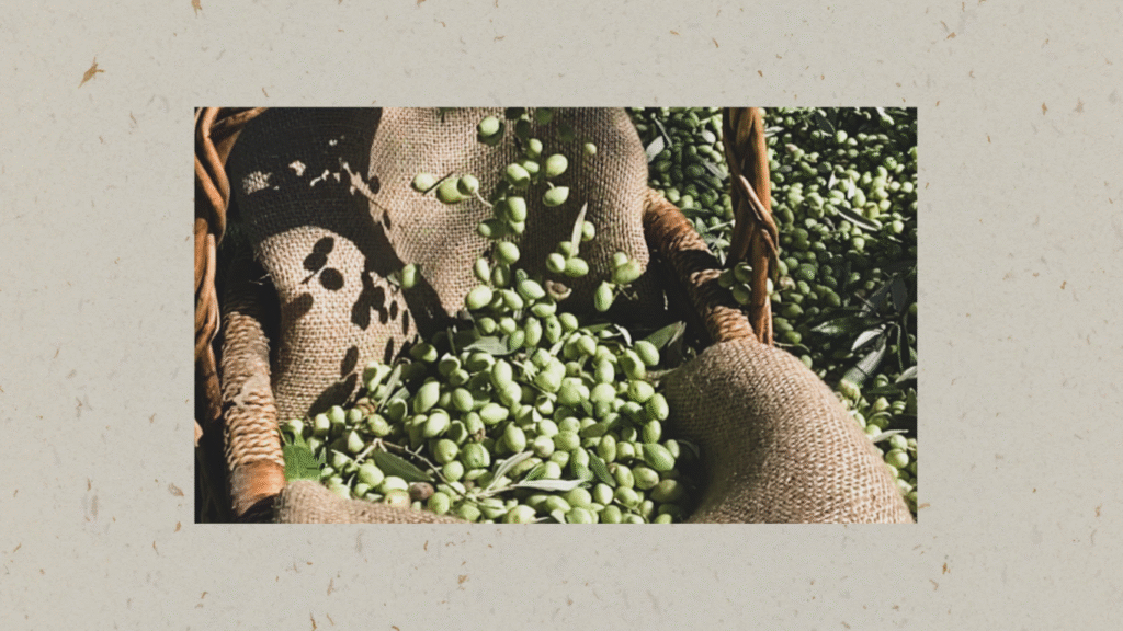 olives